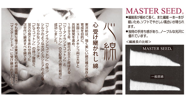 ダイヤ マスターシードコットン 色A ダイヤモンド毛糸 【KY】 サマーヤーン 毛糸 編み物