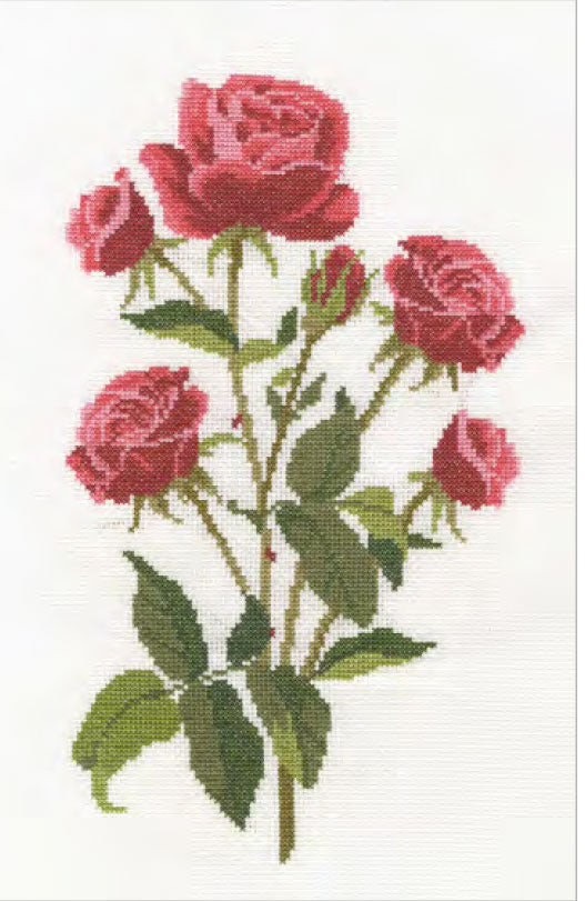 DMC 刺しゅうキット ROSE BK1893 【KY】GARDEN DISCOVERIES クロスステッチ