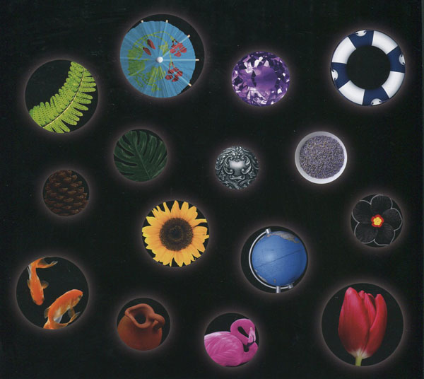 湯染め染料 ダイロン プレミアムダイ 【KN】 DYLON 染色 40度のお湯で染まる