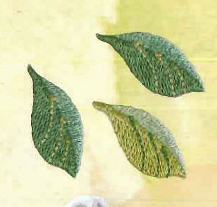 ワッペン 刺しゅう Leaf H459-087 ハマナカ 【KY】【MI】hamanaka Little Garden