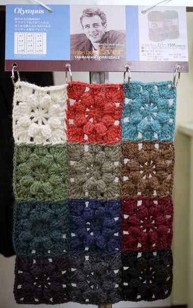 エバー オリムパス 【KN】 毛糸 編み物 並太 タスマニアンコリデール