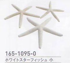 ホワイトスターフィッシュ・小 No.066S 165-1095-0 約8~12cm 3個入 松村工芸 【KN】