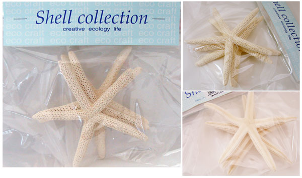 ホワイトスターフィッシュ・小 No.066S 165-1095-0 約8~12cm 3個入 松村工芸 【KN】