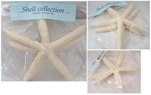 ホワイトスターフィッシュ・中 No.067 165-1107-0 約15~18cm 2個入 松村工芸 【KN】