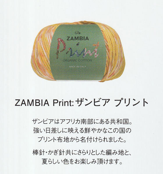 在庫限り ザンビアプリント パピー 【KN】2X サマーヤーン 春夏 毛糸 puppy 編み物 手編み糸 合太