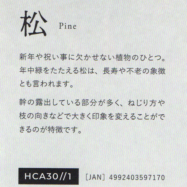 ミユキ nejitte beads BONSAI キット 松 Pine HCA30//1 【KY】ねじって作るビーズ盆栽セット