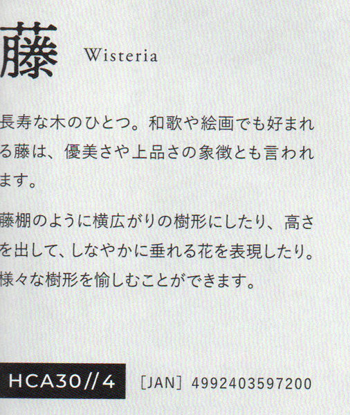 ミユキ nejitte beads BONSAI キット 藤 Wisteria HCA30//4 【KN】ねじって作るビーズ盆栽セット