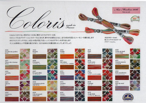 DMC Coloris/コロリ 25番 グラデーションカラー 刺しゅう糸
