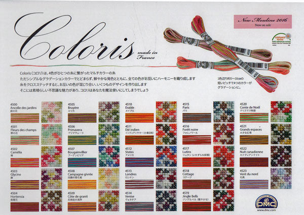 DMC Coloris/コロリ 25番 グラデーションカラー 刺しゅう糸 Flower 【KY】【MI】