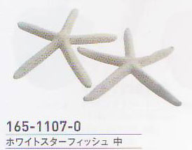 ホワイトスターフィッシュ・中 No.067 165-1107-0 約15～18cm 2個入 松村工芸 【KN】